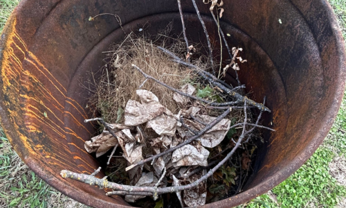 homestead burn barrel filled with dry grass sticks and dead leaves before burning