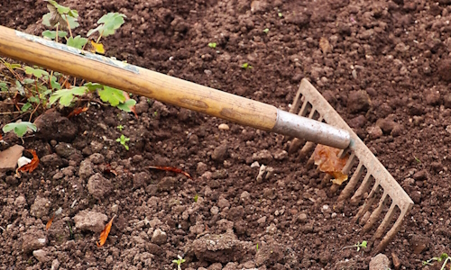Garden rake in empty tilled soil ready for planting